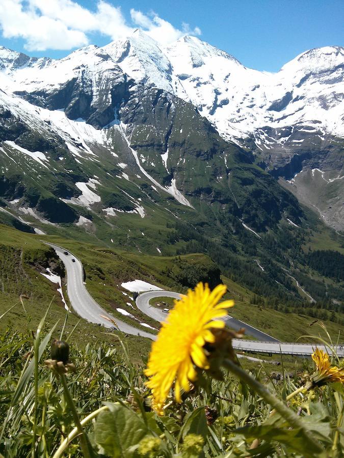 Ridehouse Bed & Breakfast Schladming Dış mekan fotoğraf