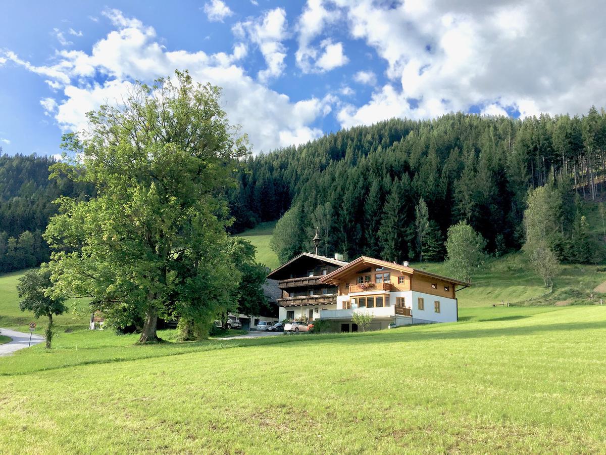 Ridehouse Bed & Breakfast Schladming Dış mekan fotoğraf