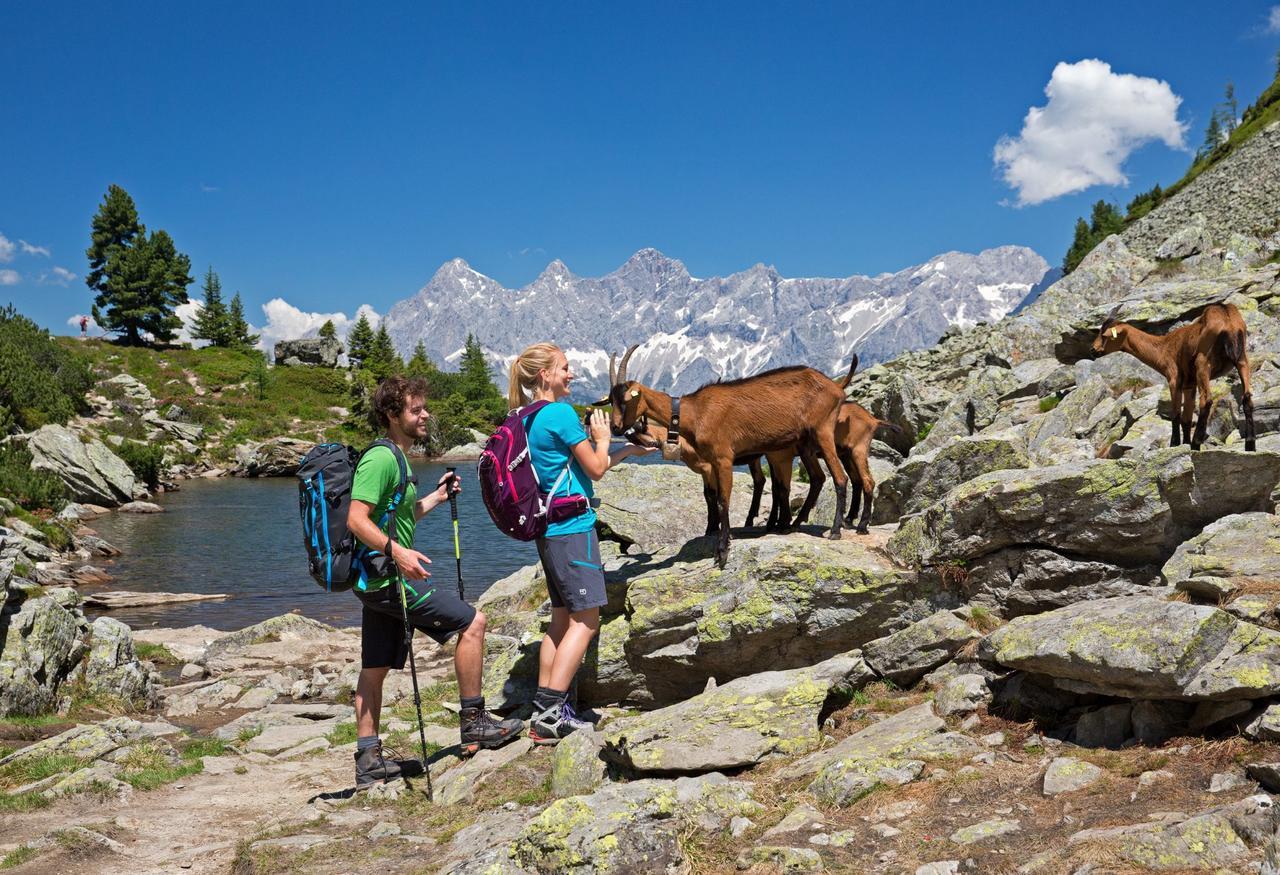 Ridehouse Bed & Breakfast Schladming Dış mekan fotoğraf
